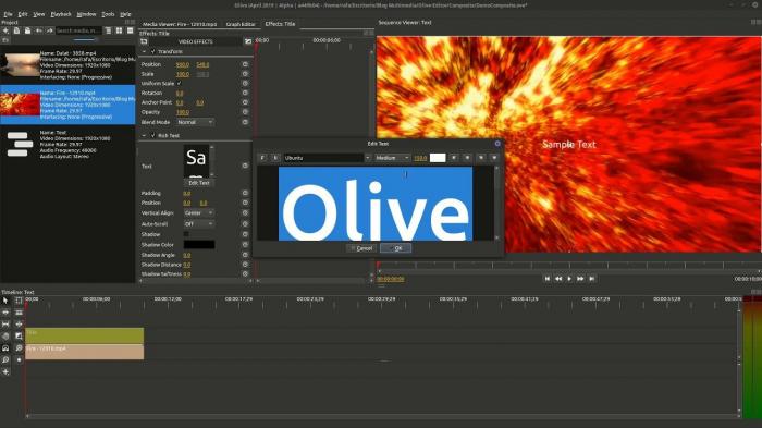 Olive Video Editor