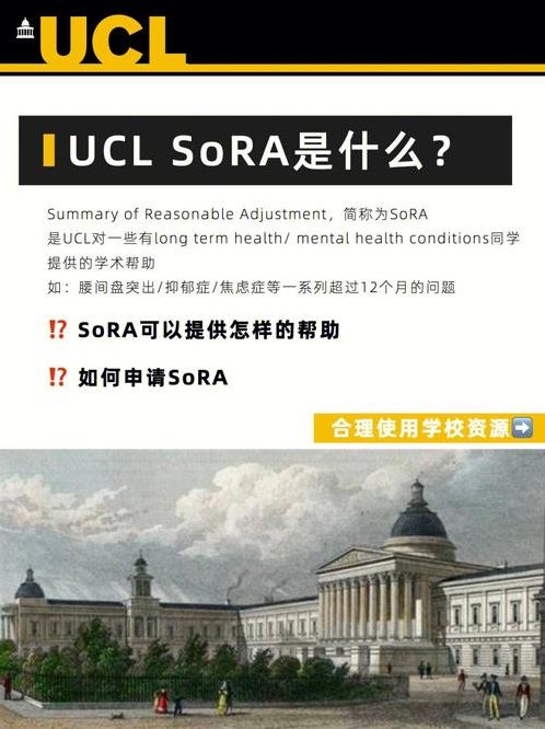 sora是什么意思（sor是什么意思）