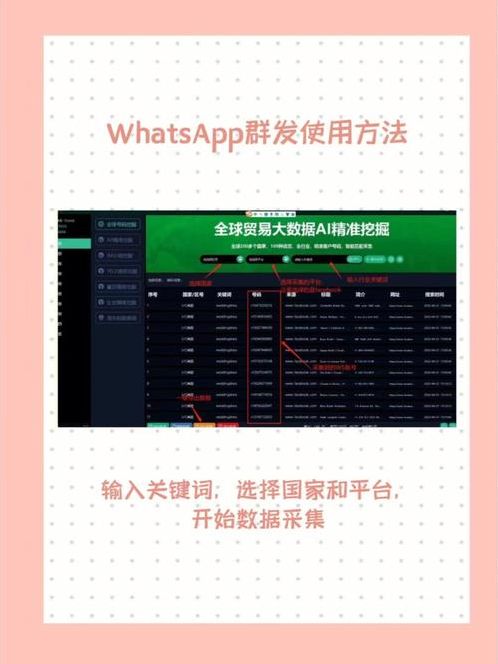 whatsap批量（whatsapp如何批量发信息）