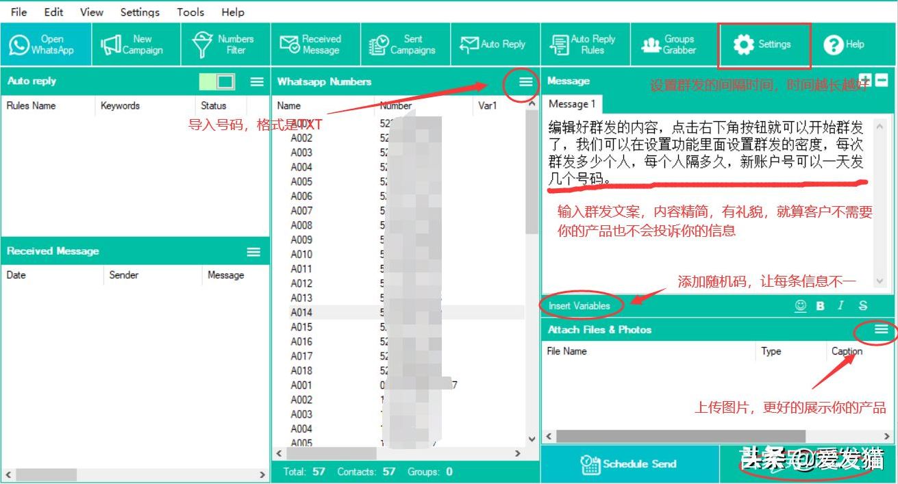 whatsap批量（whatsapp如何批量发信息）