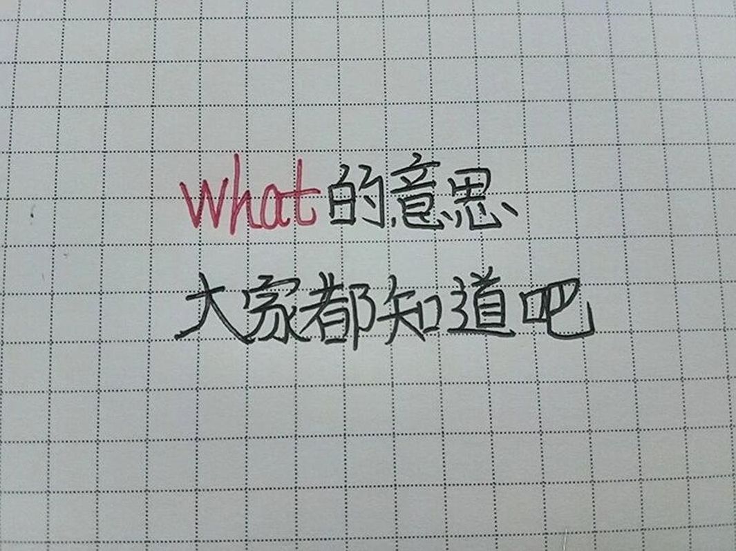 what中文叫什么（what 中文）