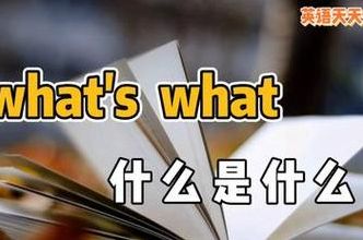 what中文叫什么（what 中文）