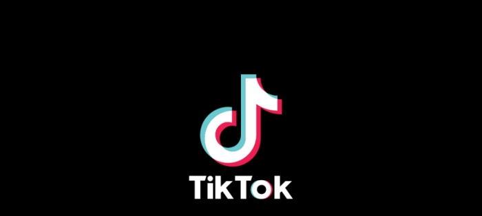 图片[1]-tiktok网页版入口（tiktok官网登录教程）