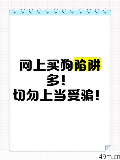 警惕风险，切勿购买推特老号进行自动发货！