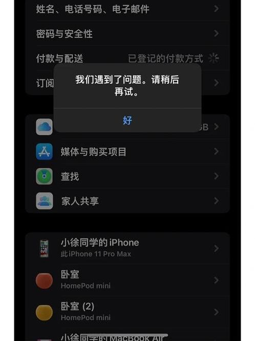 美国苹果id付款信息怎么弄不了呢（ios美国id付款方式无）