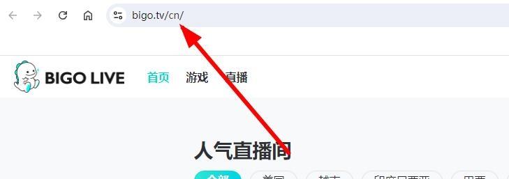 图片[2]-bigolive官网登录入口（官方网页版网址连接）